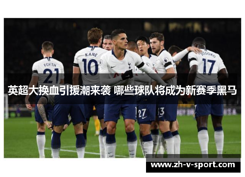 英超大换血引援潮来袭 哪些球队将成为新赛季黑马 英超大换血引援潮来袭 哪些球队将成为新赛季黑马
