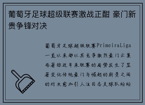 葡萄牙足球超级联赛激战正酣 豪门新贵争锋对决